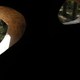 Illustration for article titled Giant Forest Head Is A Real-Life Zardoz